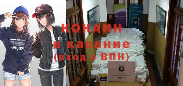 шишки Абдулино