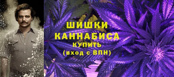 мяу мяу мука Абаза