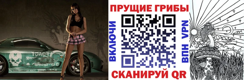 ОМГ ОМГ tor  Пудож  Псилоцибиновые грибы Psilocybe  купить наркоту 